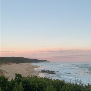 Meet your Posher, Cassidy